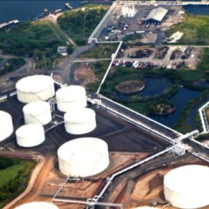 nukleer santralde denizanasi krizi uretim durdu KuFVfYUx