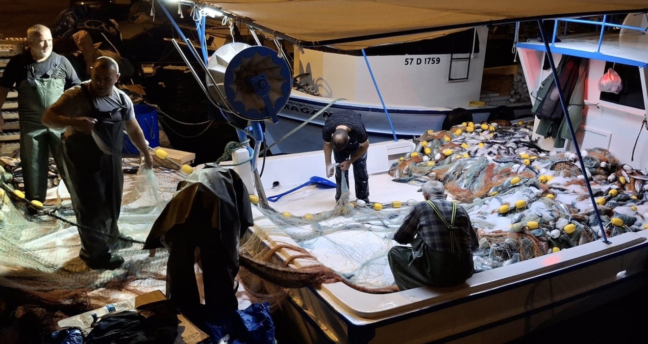 denize acilan balikcilar bir gecede milyoner oldu NxwT27Nf