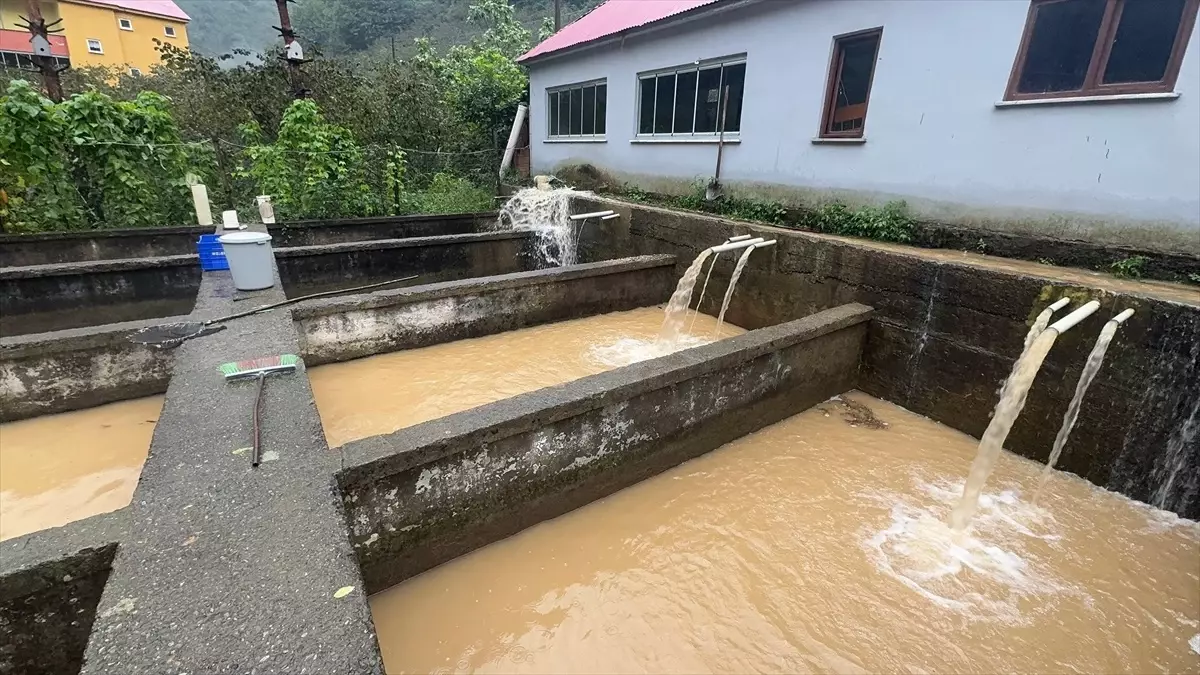 giresunda saganak heyelanlar ve su baskinlari LXr8uiWz