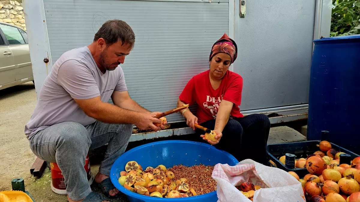 nar eksisi imece gelenegiyle uretiliyor 9QARr9t7