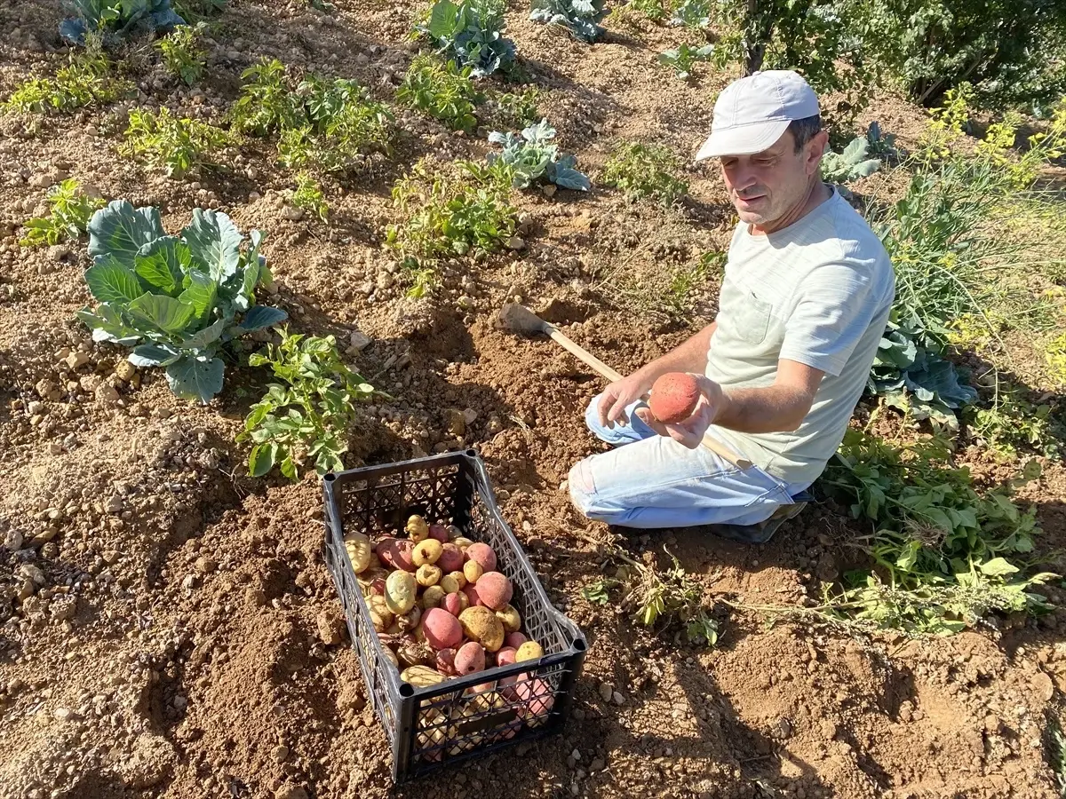 yayla urunleri kisa hazir JyiBAZz2