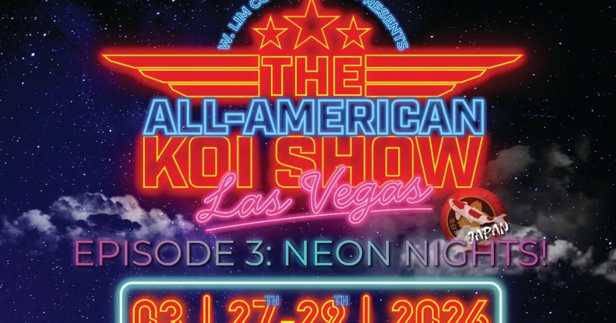 all american koi show 2026 koi dunyasinin en prestijli yarismasi las vegasa donuyor gEu9cG5c.webp