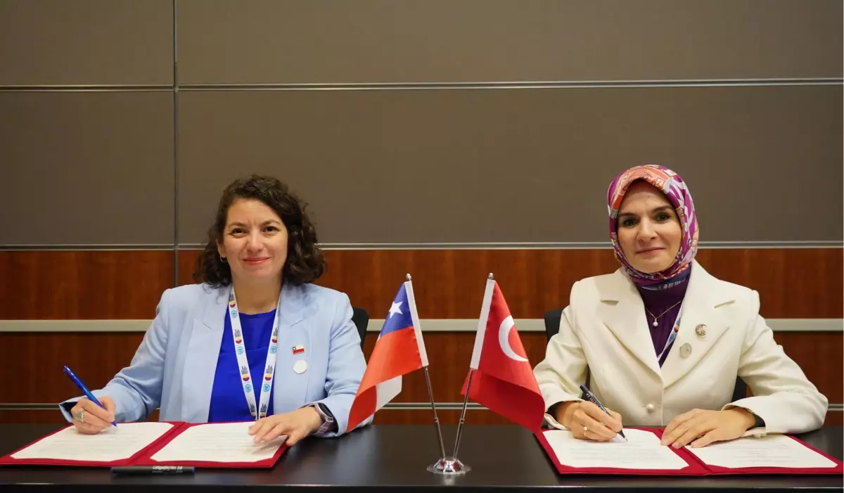 turkiye ve sili arasinda is birligi mutabakati imzalandi CmOSIVNu.jpg