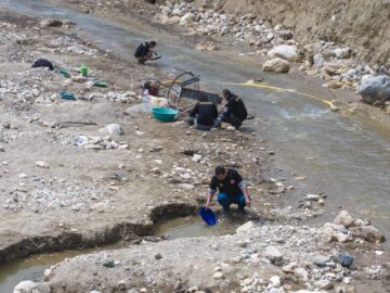 Türkiye’nin Altın Dolu Deresi: Hobi Olarak Başlayan Macera